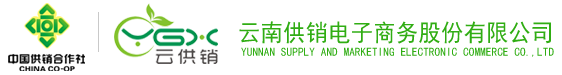 永利3044官网电子商务股份有限公司